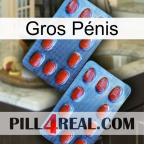 Gros Pénis 05